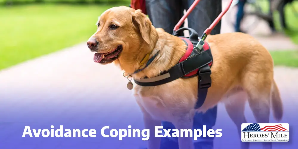 Avoidance Coping Examples