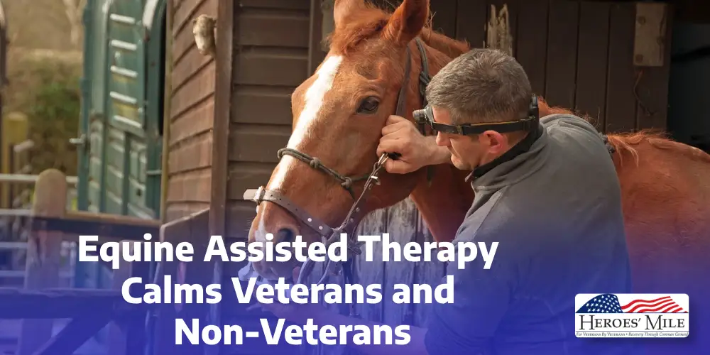 Equine Assisted Therapy Calms Veterans And Non Veterans