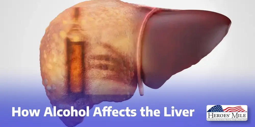 How Alcohol Affects The Liver