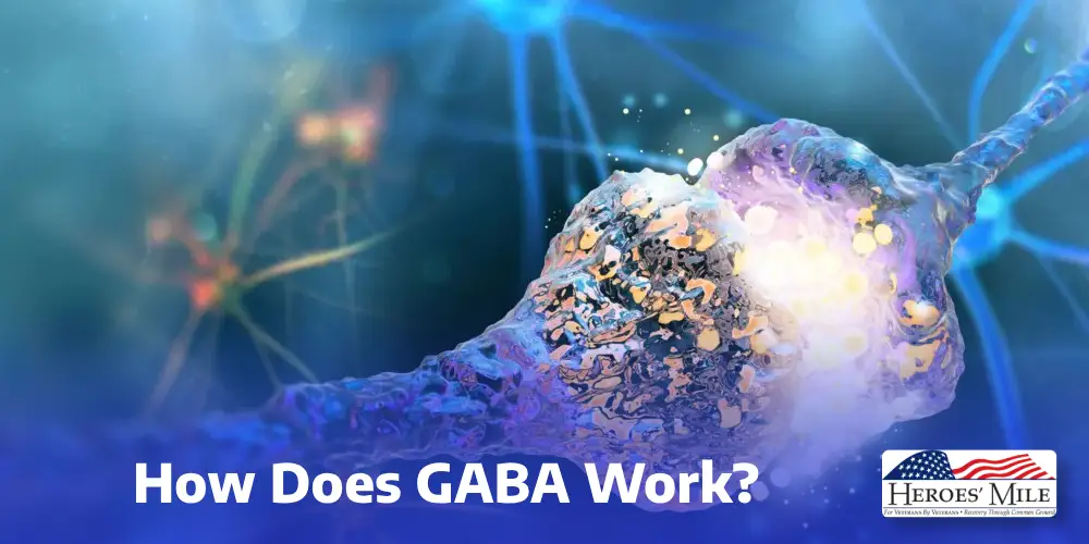 How Does Gaba Work 