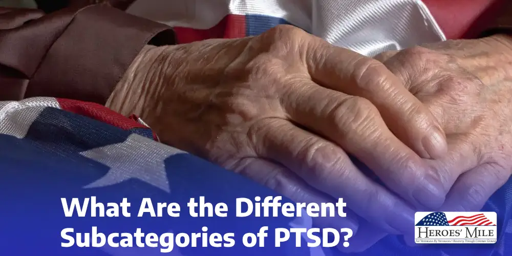 What Are The Different Subcategories Of Ptsd 